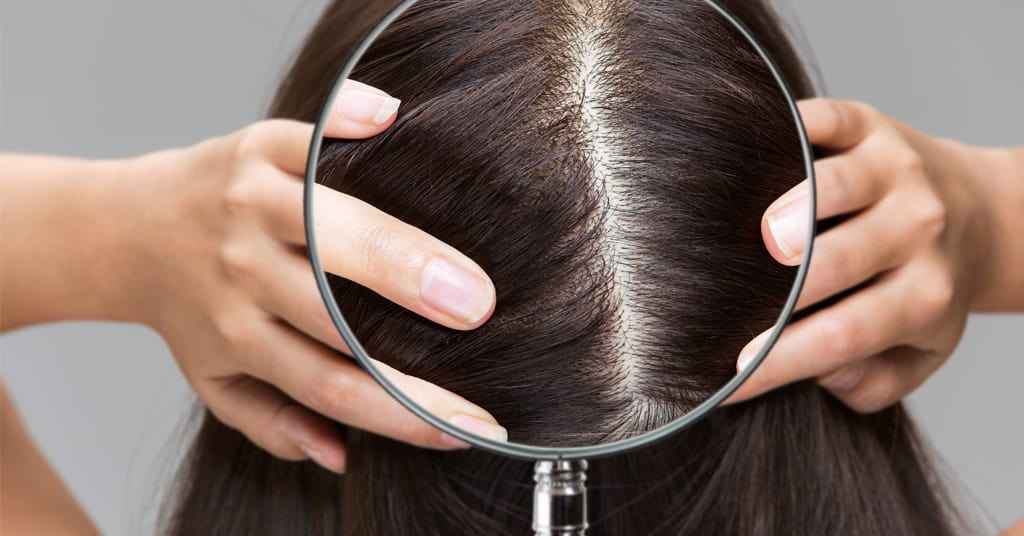 Scalp Health for Hair Growth | Why Healthy Scalp Means Stronger Hair
